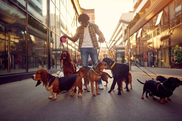 Man leker med sin hund på en promenad — Stockfoto