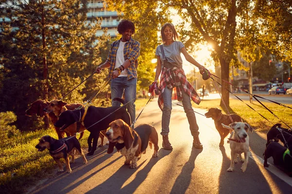 Al aire libre con perros pareja paseando y disfrutando en el parque — Foto de Stock