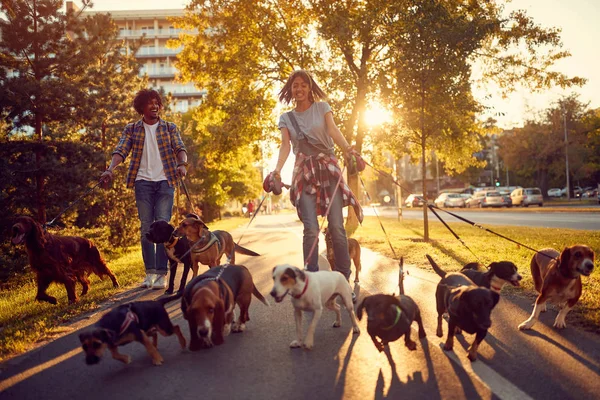 Couple dog walker with dogs enjoying in walk city — Stock Photo, Image