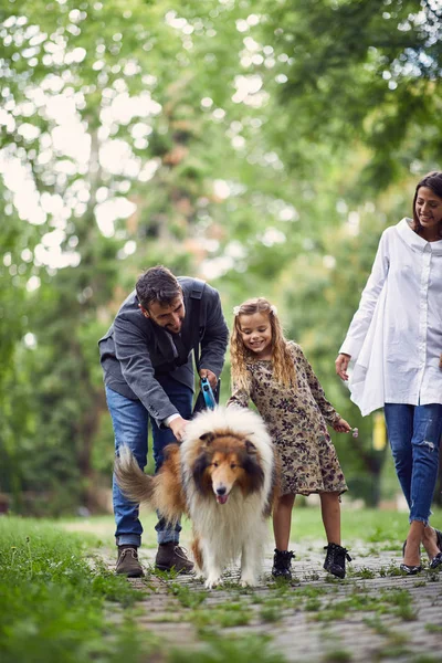 Familia sonriente está sacando a un perro a dar un paseo —  Fotos de Stock