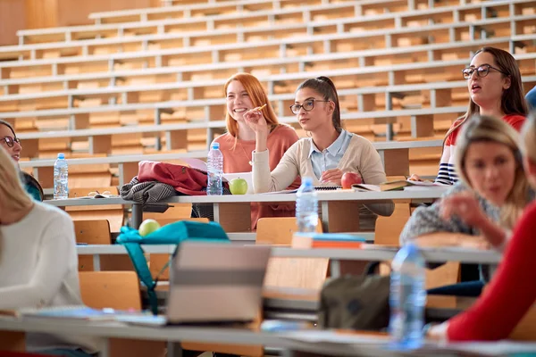 Chicas estudiantes estudiando en la academia — Foto de Stock