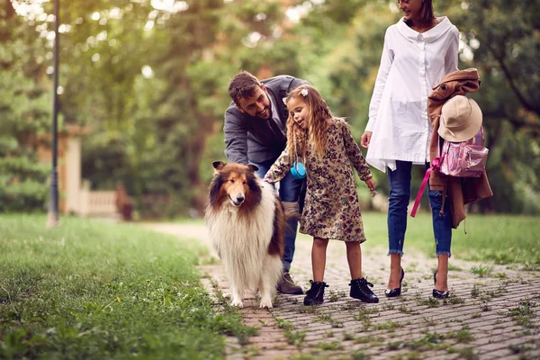 Rodzice z córką jest zabawy z psem w parku — Zdjęcie stockowe