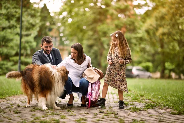 aile parkta köpek ile eğleniyor