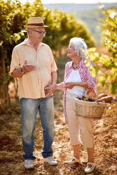 Tradição familiar - casal em vinhedo celebrando a colheita de uvas — Fotografia de Stock