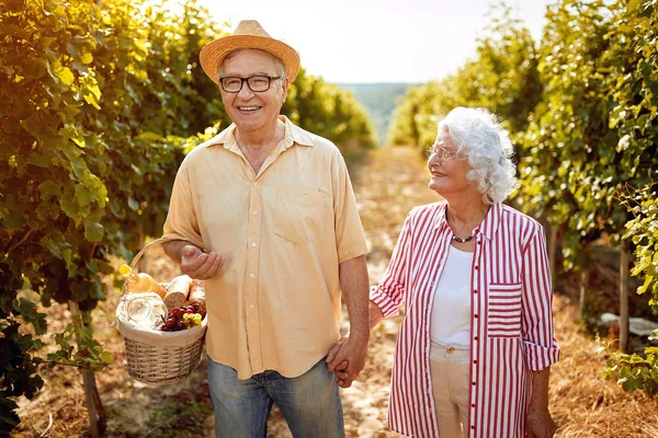 Senior-Winzer spazieren zwischen Rebzeilen — Stockfoto