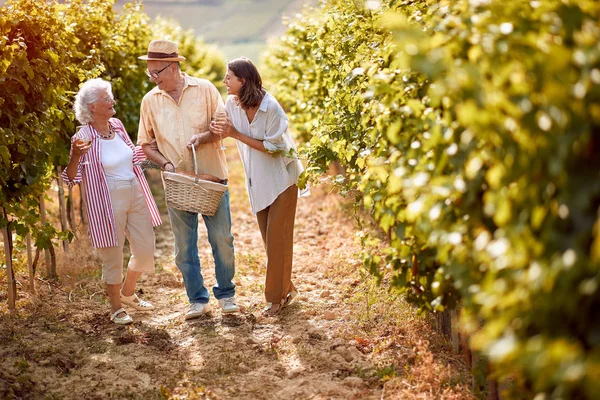 Família brindar e beber vinho e se divertir ao ar livre — Fotografia de Stock