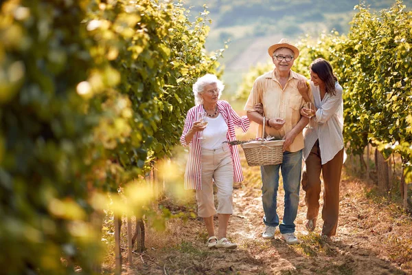Winemaker ailenin bir arada bağ içinde — Stok fotoğraf