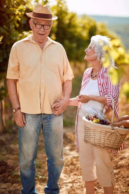 Winegrower kıdemli çift şarap yapmak için bağ üzüm hasat