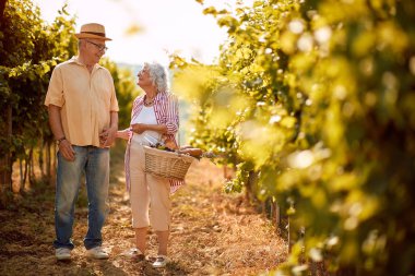 Üzüm sepeti ile mutlu yaşlı çift
