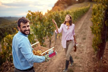 Sonbahar üzüm bağıüzerinde üzüm hasat genç adam