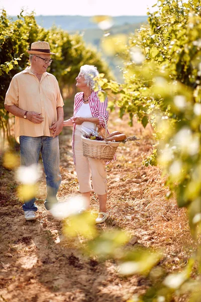 Schönes Seniorenpaar mit Traubenkorb — Stockfoto