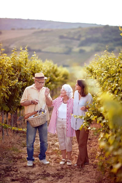Şarapçı bağda çalışan aile — Stok fotoğraf