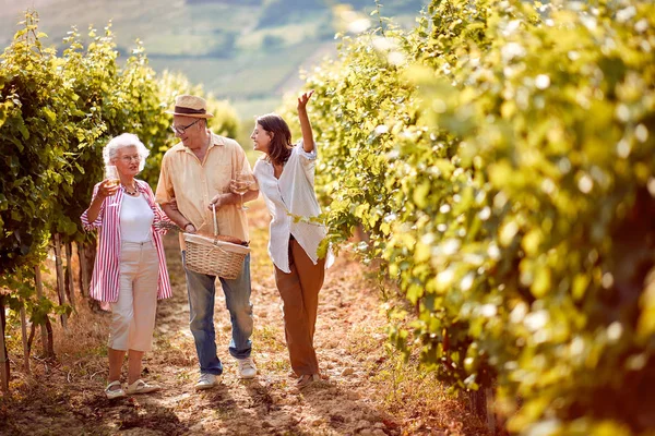Family walking in between rows of vine — Stock Photo, Image