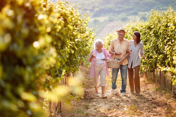 Szczęśliwa rodzina chodzenie pomiędzy rzędami winorośli — Zdjęcie stockowe