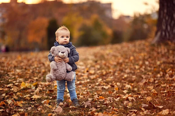 Mooie jongen met teddybeer in Park op de herfst dag — Stockfoto