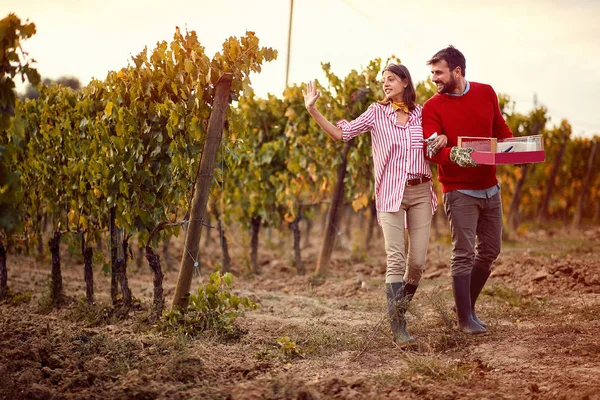 Härligt par med druva i vingården — Stockfoto