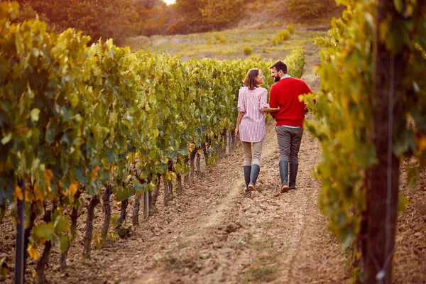 Szczęśliwa para chodzenie pomiędzy rzędami winorośli na winnicy — Zdjęcie stockowe