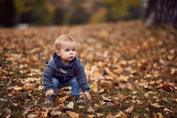 Petit garçon dans le parc d'automne. Petit garçon. Bonne enfance. Famille — Photo