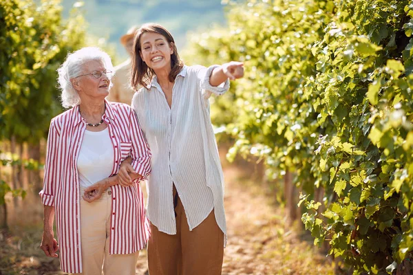Winnic winogron. Zbieranie winogron. Uśmiechnięta matka i Młoda córka na jesiennej winnicy — Zdjęcie stockowe