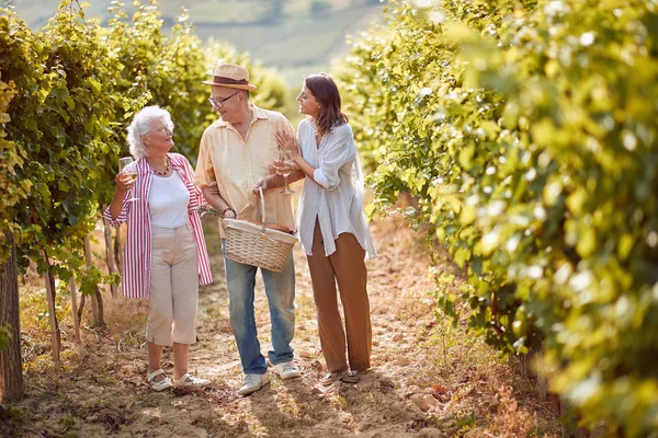 Bağda olgun üzümler. aile bağı. Winemaker ailesi bağda bir arada — Stok fotoğraf