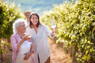 Geleneksel kır üzüm bağı. Sonbahar üzüm bağındaki aile şarap tadıyor.
