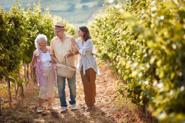 Üzüm bağında olgun üzümler. Aile bağları. Aile sarmaşıkların arasında yürüyor