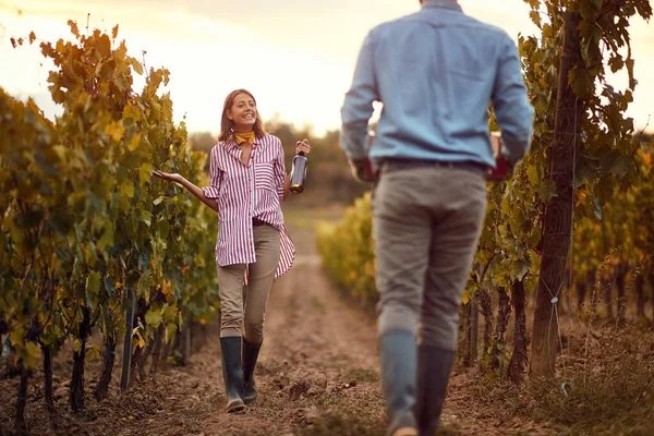 Vindruvor i en vingård. Ung kvinna med vin på vingård — Stockfoto