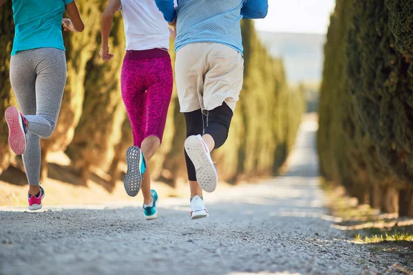 Baksidan av en grupp av sportiga vänner jogging — Stockfoto