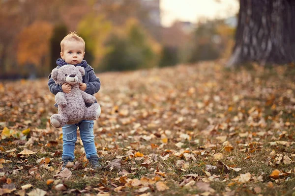 Niño jugando, sonriendo y divirtiéndose en el parque de otoño de la ciudad. Árboles y hojas de color amarillo brillante —  Fotos de Stock