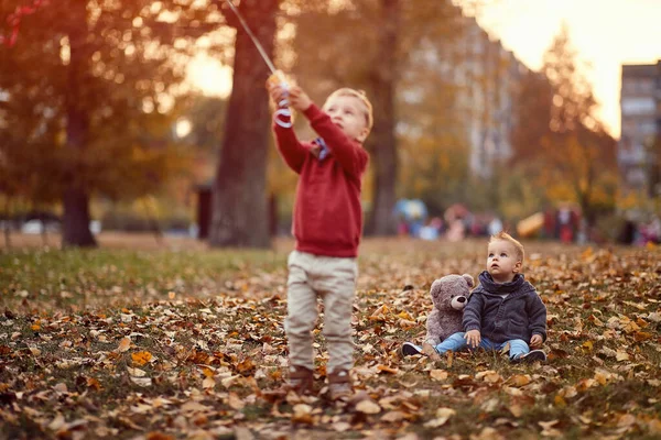Little boy. Golden autumn. Sunny day. cheerful boy with teddy bear in park on autumn day — Stock Photo, Image