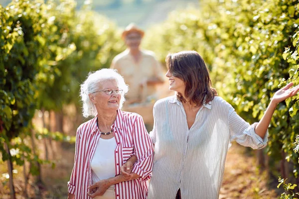 Weinbergfelder Weinlese Lächelnde Mutter Und Tochter Auf Dem Herbstweinberg — Stockfoto