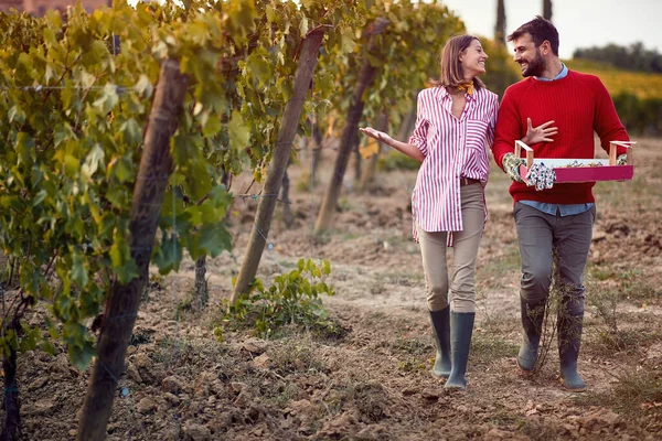 Jovem casal com uva na vinha . — Fotografia de Stock