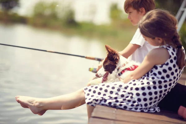 小さな犬が木の桟橋に座って池で釣りをしている — ストック写真