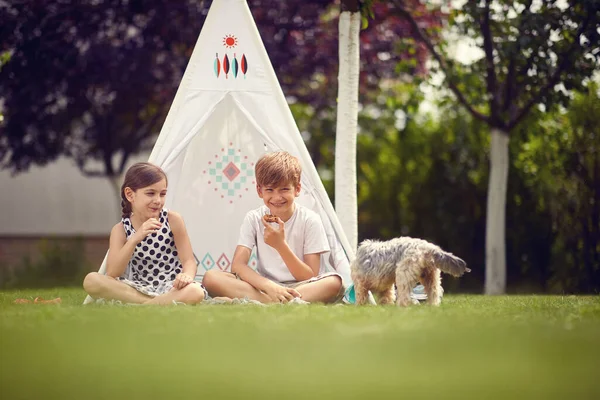 Summer Time Fun Smiling Children Playing Backyard Teepee Eats Cookies — Stock Photo, Image