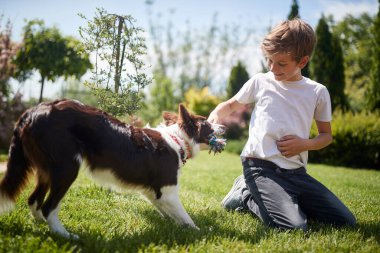 Mutlu çocuk köpeğiyle oynuyor pamuklu köpek ipi çekiyor.