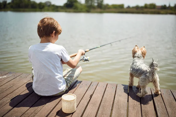 Sonriente Chico Divertirse Pesca Con Perro Estanque Verano Alegría Vacaciones —  Fotos de Stock