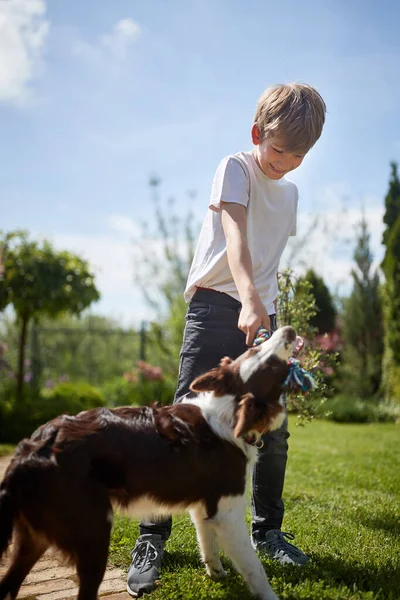 Boy Playing His Dog Lawn — Stock Photo, Image