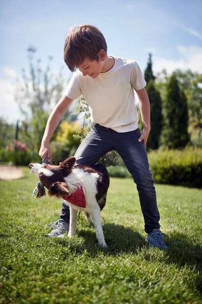 Caucasian Boy Playing His Dog Outdoor Pulling Rope — Stock Photo, Image
