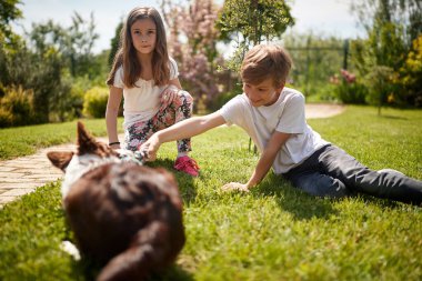 Çocuklar arka bahçede köpekle oynuyor.