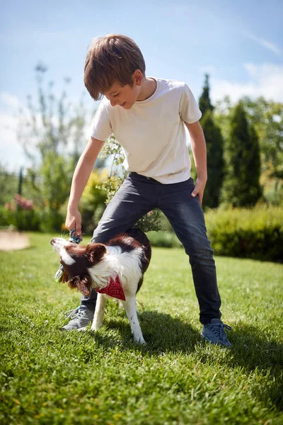 Boy His Dog Playing Lawn Sunny Day — Stock Photo, Image