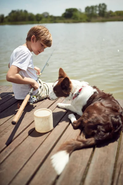 Young Boy His Dog Enjoy Fishing Sunny Day — Stock Photo, Image