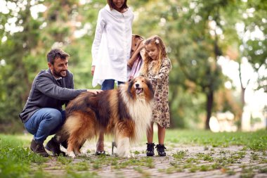 Aile, Shetland çoban köpeğiyle parkta vakit geçirir.