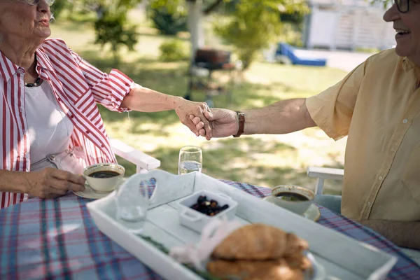 Gemeinsam Alt Werden Glückliches Seniorenpaar Hält Händchen Und Genießt Gemeinsam — Stockfoto