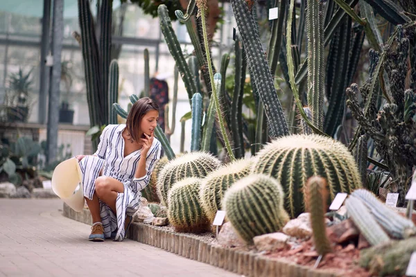 Designer Young Woman Choose Cactus Eco Garden New Client — Stock Photo, Image