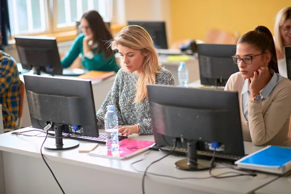 Students working on computers at an informatics lecture in the university computer classroom