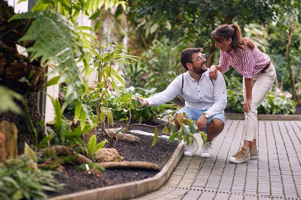 Casal Jovem Falando Sobre Plantas Jardim Botânico — Fotografia de Stock