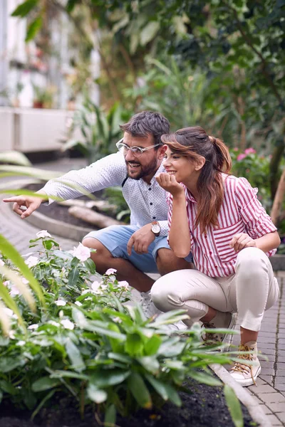 植物園で美しい植物を観察する若いカップル — ストック写真