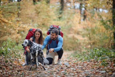 Bir köpekle birlikte yürüyüş yapan çiftler; aktif yaşam tarzı konsepti