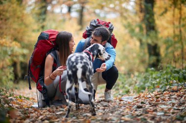 Bir köpekle birlikte yürüyüş yapan çiftler; ilkbahar veya sonbahar doğa yürüyüşü; kamp, seyahat, turizm, yaşam tarzı, yürüyüş ve insan konsepti. Aktif aile zamanı..