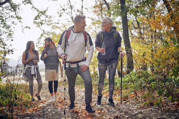 Family Trekking Woods Quality Family Time Concept — Stock Photo, Image